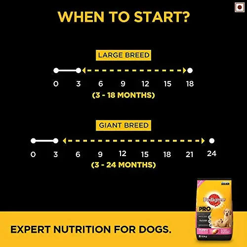 Pedigree PRO Expert Nutrition Large Breed Puppy (3-18 Months), Dry Dog Food, 10kg Pack Flavour : chicken For Sale