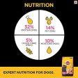 Pedigree PRO Expert Nutrition Large Breed Puppy (3-18 Months), Dry Dog Food, 10kg Pack Flavour : chicken For Sale