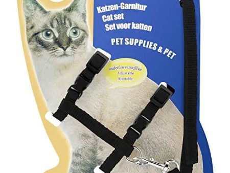 Adidog Cat and Small Pet Nylon Strap Collar with Adjustable Walking Harness Leash (Color May Very) Fashion