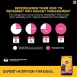 Pedigree PRO Expert Nutrition Large Breed Puppy (3-18 Months), Dry Dog Food, 10kg Pack Flavour : chicken For Sale