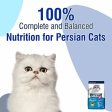 Kitty Yums Dry Persian Cat Food, Ocean Fish, 1.2kg For Sale