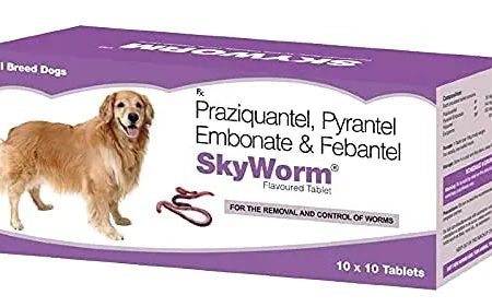 SKYWORM Deworming Tablets pack of 10 tablet Online now