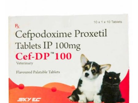 Sky ec Cef-dp 100 10 tablets Online Sale