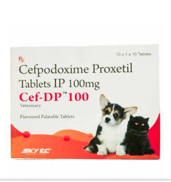 Sky ec Cef-dp 100 10 tablets Online Sale