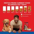 Drools Chicken and Egg Adult Dry Dog Food, 10kg (+2kg Extra Free Inside) For Sale