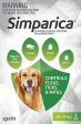 Simparica 80mg Chewable Tablets For Dogs >20-40 kg pack of 1 on Sale