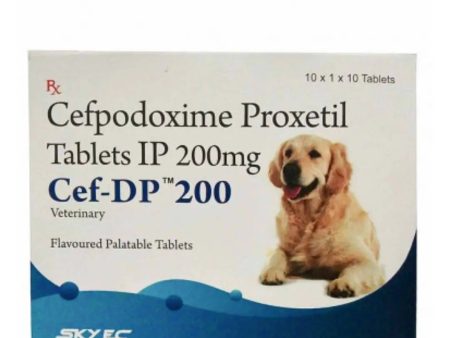 Sky Ec Cef- DP 200 10 Tablets Online Hot Sale