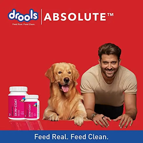 Drools Absolute Skin Coat Tablet- Dog Supplement, 110 Pcs Online